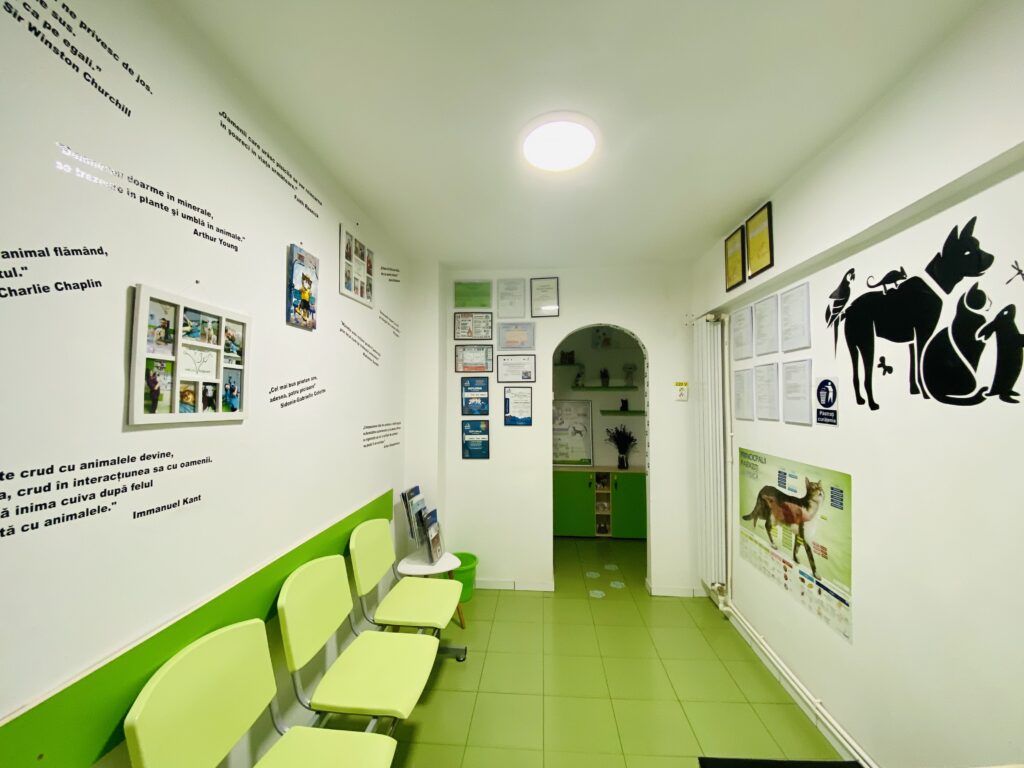 Cabinetul veterinar ValOan HelpVet din Babadag