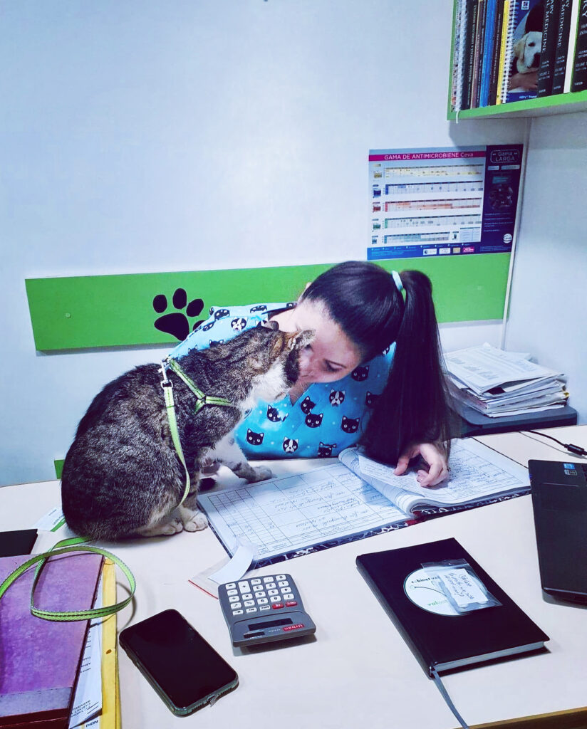 Cabinetul veterinar ValOan HelpVet din Babadag